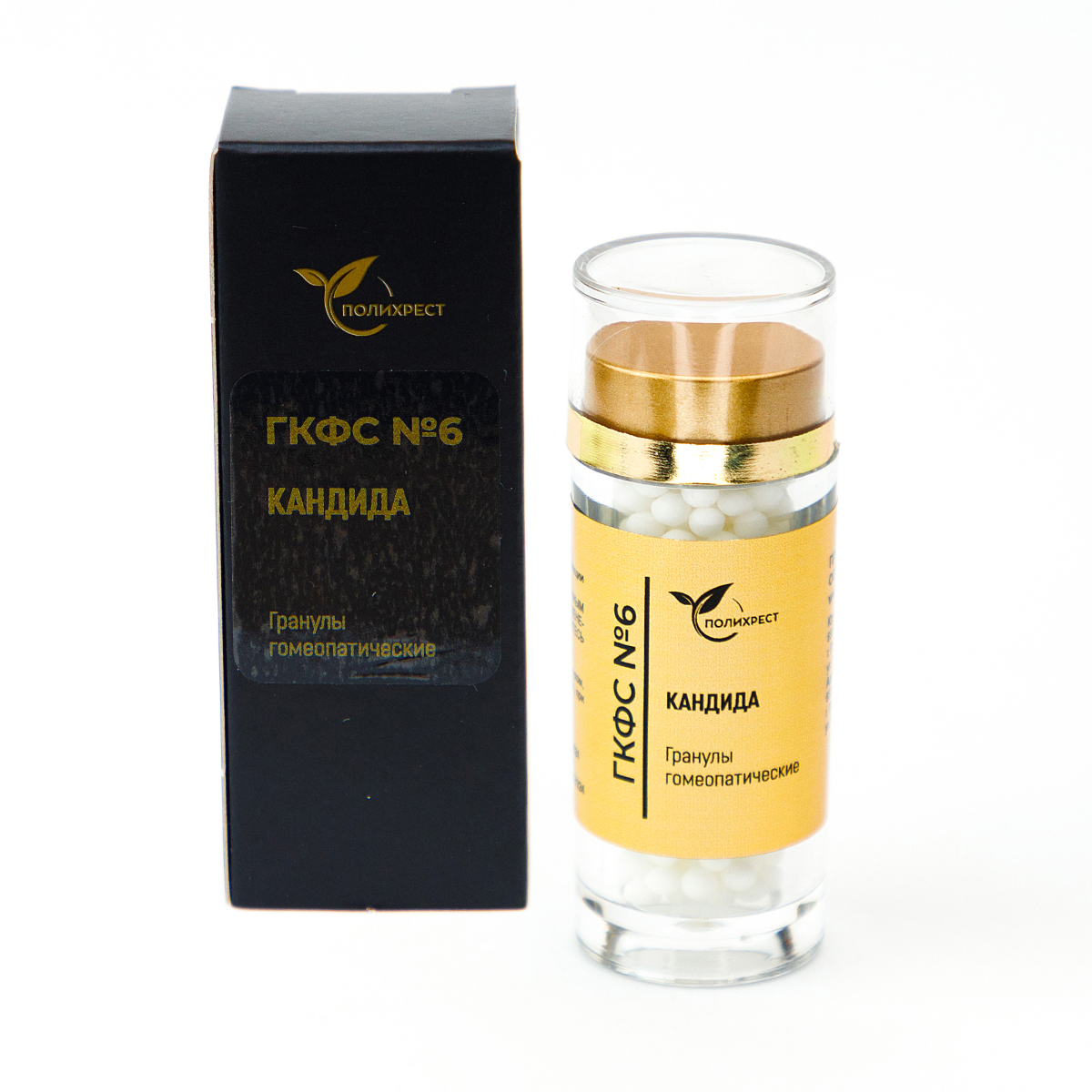 № 6 ГКФС «КАНДИДА»